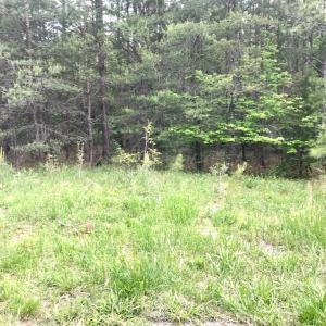 Photo #5 of 60 W. James Anderson Hwy, Buckingham, VA 35.3 acres