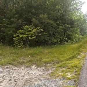 Photo #7 of 60 W. James Anderson Hwy, Buckingham, VA 35.3 acres