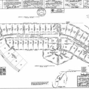 Original neighborhood plat