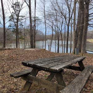 Picnic Area w/ Lake View