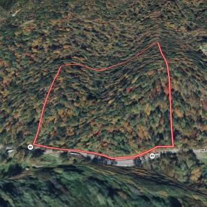 Photo #11 of 00 Helen Henderson Highway, Honaker, VA 21.0 acres