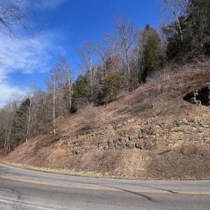 Photo #13 of 00 Helen Henderson Highway, Honaker, VA 21.0 acres