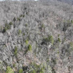 Photo #16 of 00 Helen Henderson Highway, Honaker, VA 21.0 acres