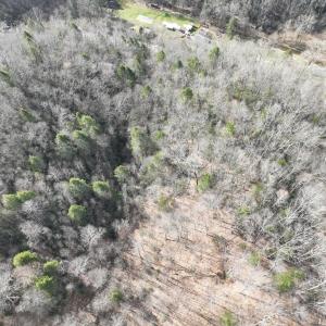 Photo #20 of 00 Helen Henderson Highway, Honaker, VA 21.0 acres