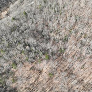 Photo #21 of 00 Helen Henderson Highway, Honaker, VA 21.0 acres