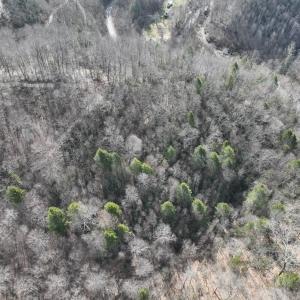 Photo #22 of 00 Helen Henderson Highway, Honaker, VA 21.0 acres