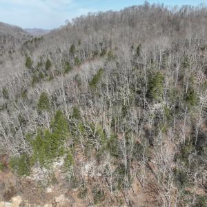 Photo #28 of 00 Helen Henderson Highway, Honaker, VA 21.0 acres
