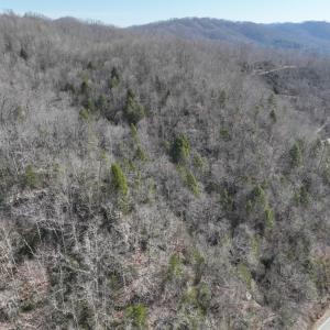 Photo #31 of 00 Helen Henderson Highway, Honaker, VA 21.0 acres
