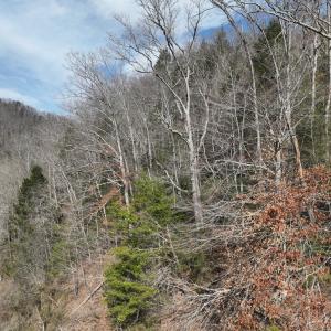 Photo #34 of 00 Helen Henderson Highway, Honaker, VA 21.0 acres