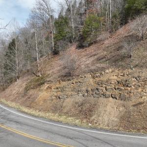 Photo #36 of 00 Helen Henderson Highway, Honaker, VA 21.0 acres