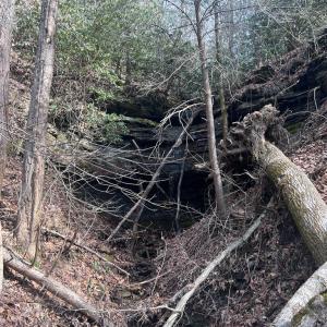 Photo #38 of 00 Helen Henderson Highway, Honaker, VA 21.0 acres
