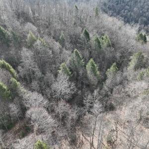 Photo #5 of 00 Helen Henderson Highway, Honaker, VA 21.0 acres