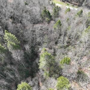 Photo #23 of 00 Helen Henderson Highway, Honaker, VA 21.0 acres
