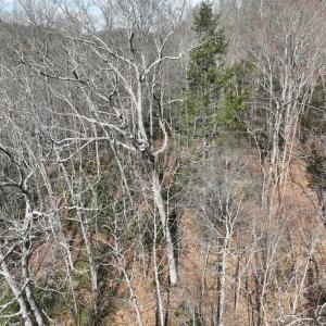 Photo #25 of 00 Helen Henderson Highway, Honaker, VA 21.0 acres