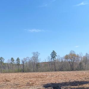 Photo #11 of Chalk Level Rd, Alberta, VA 32.5 acres