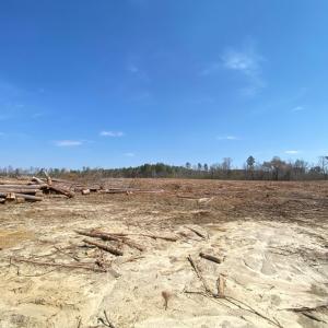 Photo #12 of Chalk Level Rd, Alberta, VA 32.5 acres