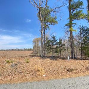 Photo #17 of Chalk Level Rd, Alberta, VA 32.5 acres