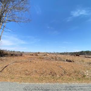 Photo #6 of Chalk Level Rd, Alberta, VA 32.5 acres
