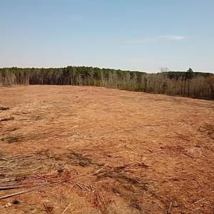 Photo #22 of Chalk Level Rd, Alberta, VA 28.1 acres