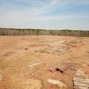 Photo #24 of Chalk Level Rd, Alberta, VA 28.1 acres