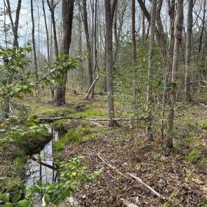 Photo #47 of Chalk Level Rd, Alberta, VA 28.1 acres