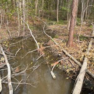 Photo #48 of Chalk Level Rd, Alberta, VA 28.1 acres