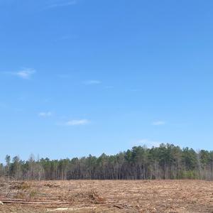 Photo #11 of Chalk Level Rd, Alberta, VA 28.1 acres