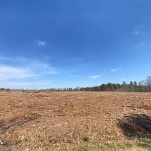 Photo #15 of Chalk Level Rd, Alberta, VA 28.1 acres