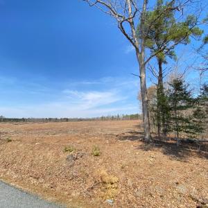 Photo #19 of Chalk Level Rd, Alberta, VA 28.1 acres