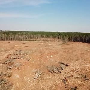Photo #28 of Chalk Level Rd, Alberta, VA 28.1 acres