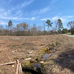 Photo #4 of Chalk Level Rd, Alberta, VA 28.1 acres