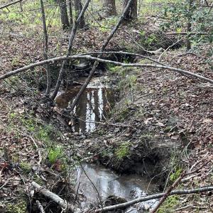 Photo #46 of Chalk Level Rd, Alberta, VA 28.1 acres