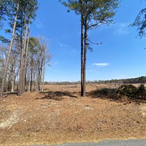Photo #5 of Chalk Level Rd, Alberta, VA 28.1 acres