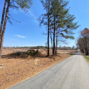 Photo #6 of Chalk Level Rd, Alberta, VA 28.1 acres