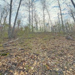 Photo #13 of Whitmore Town Road, Crewe, VA 0.7 acres
