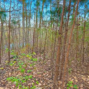 Photo #6 of Whitmore Town Road, Crewe, VA 0.7 acres