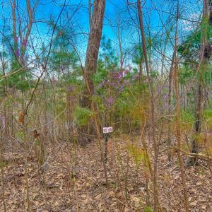 Photo #8 of Whitmore Town Road, Crewe, VA 0.7 acres