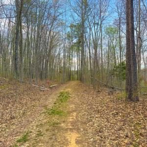 Photo #10 of Whitmore Town Road, Crewe, VA 0.7 acres