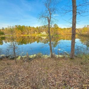Photo #4 of Whitmore Town Road, Crewe, VA 0.7 acres