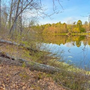 Photo #5 of Whitmore Town Road, Crewe, VA 0.7 acres