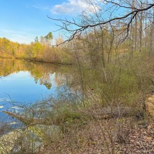Photo #6 of Whitmore Town Road, Crewe, VA 0.7 acres
