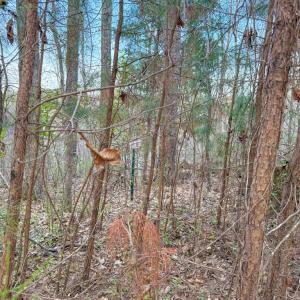 Photo #8 of Whitmore Town Road, Crewe, VA 0.7 acres