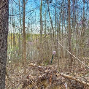 Photo #9 of Whitmore Town Road, Crewe, VA 0.7 acres