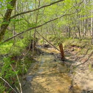 Photo #11 of Piney Green Road, Crewe, VA 57.4 acres