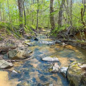 Photo #15 of Piney Green Road, Crewe, VA 57.4 acres