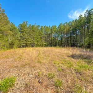 Photo #4 of Piney Green Road, Crewe, VA 57.4 acres