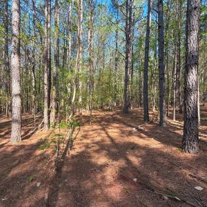 Photo #6 of Piney Green Road, Crewe, VA 57.4 acres