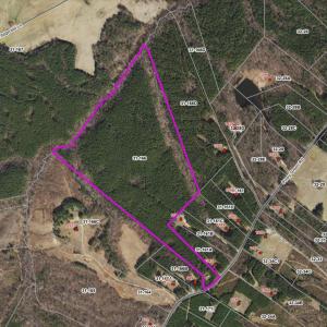 Photo #2 of Piney Green Road, Crewe, VA 57.4 acres