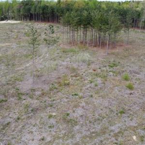 Photo #11 of Prince Edward Hwy, Rice, VA 20.8 acres