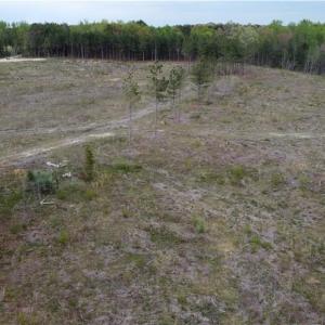 Photo #12 of Prince Edward Hwy, Rice, VA 20.8 acres
